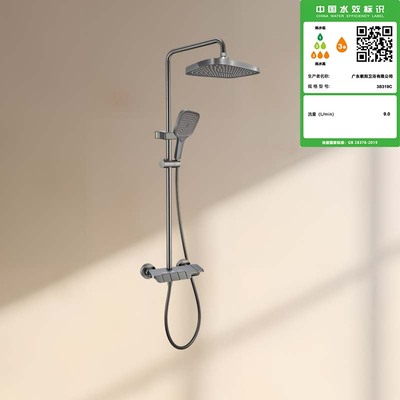 3B319C三功能淋浴龙头（灰）