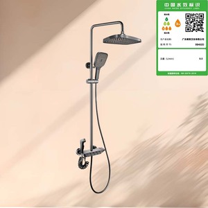 5B402D普四功能淋浴龙头