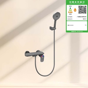 7B211C琴键冷热两功能淋浴龙头(灰)
