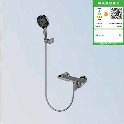 B2019C单柄冷热两出水淋浴龙头