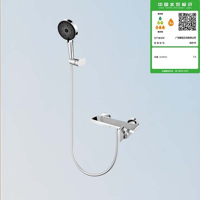B2019单柄冷热两出水淋浴龙头