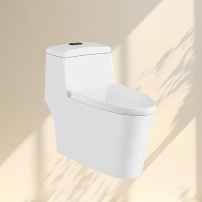 CY101C特座便器（PP盖板）