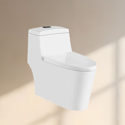 CY101特座便器（PP盖板）