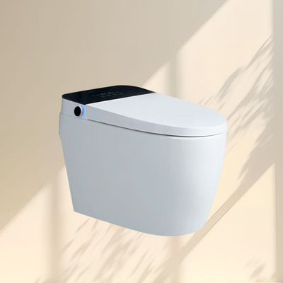 IT-20A全智能马桶（电阀式自动开盖）