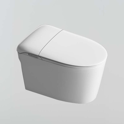IT-43水箱轻智能马桶(手动翻盖)