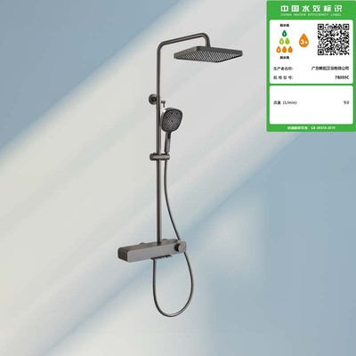 7B303C置物三功能淋浴龙头(钢盒灰)