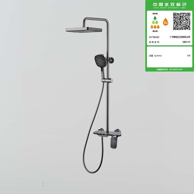 5B311C琴键三功能淋浴龙头