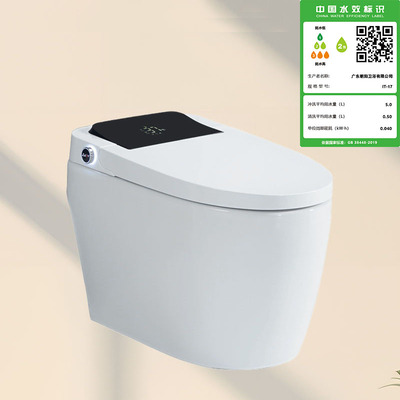 IT-17A轻智能马桶（自动翻盖）