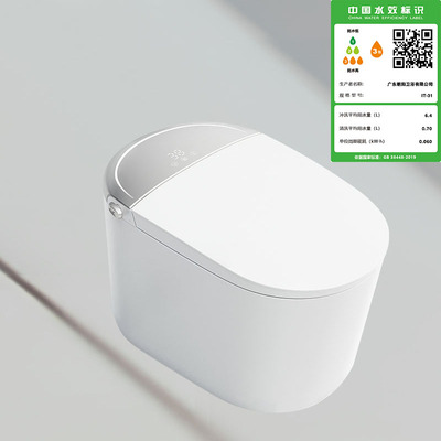 IT-31水箱全智能马桶（自动翻盖+泡泡卫）